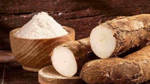 Nhu cầu mua h&agrave;ng từ Trung Quốc tăng l&ecirc;n, gi&aacute; sắn nguy&ecirc;n liệu tăng trở lại