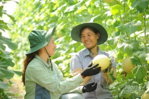 Ph&aacute;t triển n&ocirc;ng nghiệp, n&ocirc;ng th&ocirc;n 2021-2025: Chuyển mạnh sang kinh tế n&ocirc;ng nghiệp 