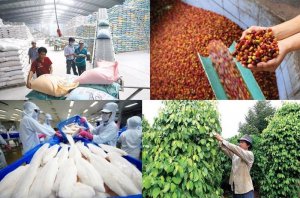 Xuất khẩu gạo lập kỷ lục mới, nhiều loại n&ocirc;ng thủy sản kh&aacute;c đang tr&ecirc;n đường &ldquo;về đ&iacute;ch&rdquo;