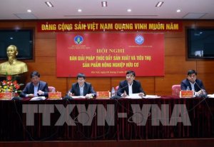 Sẽ có Đề án sản xuất nông nghiệp hữu cơ
