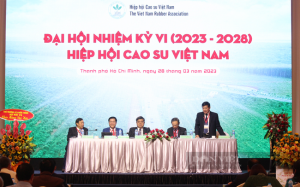 Nhiều cơ hội tăng kim ngạch xuất khẩu cao su