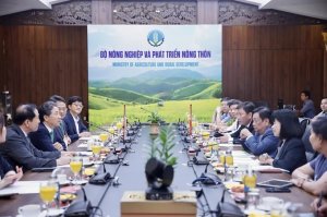 Thiết kế Chiến lược marketing ng&agrave;nh n&ocirc;ng nghiệp Việt Nam 