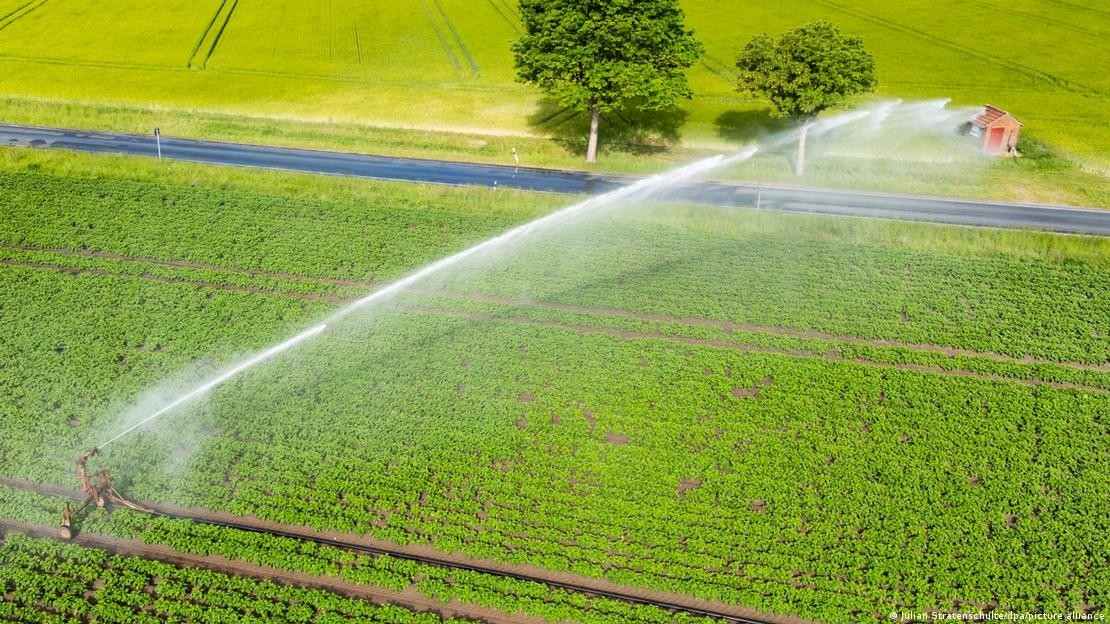 Biến đổi kh&iacute; hậu buộc n&ocirc;ng nghiệp Đức tăng tốc th&iacute;ch ứng