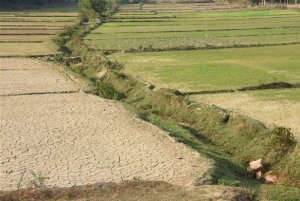 H&agrave;nh động sớm để ứng ph&oacute; sa mạc h&oacute;a v&agrave; hạn h&aacute;n 
