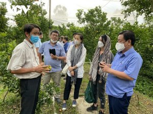 Bộ trưởng Bộ NN v&agrave; PTNT: Phải &ldquo;tổ chức lại sản xuất&rdquo; v&agrave; thể hiện r&otilde; hơn vai tr&ograve; điều phối 