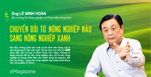 Chuyển đổi từ n&ocirc;ng nghiệp n&acirc;u sang n&ocirc;ng nghiệp xanh