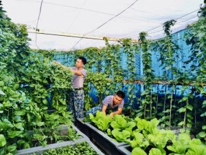 Gi&uacute;p bộ đội Trường Sa l&agrave;m `n&ocirc;ng d&acirc;n` tr&ecirc;n đảo