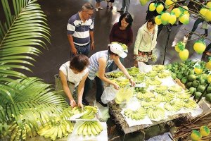 Yếu tố mới trong cuộc cải tổ nền n&ocirc;ng nghiệp 