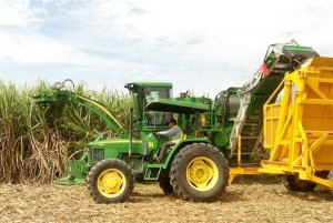 Gian lận thương mại l&agrave;m biến dạng gi&aacute; đường