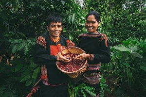 Gi&aacute; c&agrave; ph&ecirc; h&ocirc;m nay, 29/6/2023: Gi&aacute; c&agrave; ph&ecirc; trong nước s&aacute;t mốc 67.000 đồng/kg