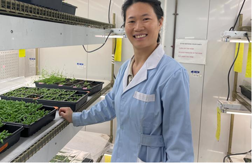 C&aacute;c nh&agrave; nghi&ecirc;n cứu anh ph&aacute;t hiện ra lượng oxit nitric dư thừa ngăn chặn t&iacute;n hiệu miễn dịch của thực vật