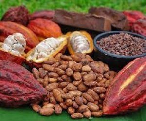 Bản tin thị trường c&ocirc;ng nghiệp nhẹ ng&agrave;y 10/2/2020