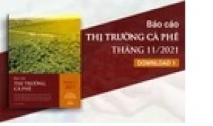 Thị trường c&agrave; ph&ecirc; th&aacute;ng 11/2021: Gi&aacute; c&agrave; ph&ecirc; tiếp tục lập đỉnh mới