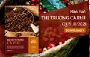 Thị trường c&agrave; ph&ecirc; qu&yacute; II/2021: Gi&aacute; c&agrave; ph&ecirc; đạt đỉnh nhiều năm nhờ nguồn cung thiếu hụt