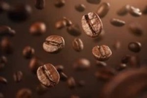 Thị trường c&agrave; ph&ecirc; th&aacute;ng 7: Gi&aacute; c&agrave; ph&ecirc; robusta chạm mức kỷ lục