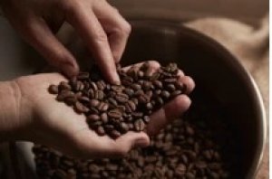 Thị trường c&agrave; ph&ecirc; năm 2021: Một năm thăng hoa của ng&agrave;nh c&agrave; ph&ecirc;