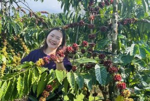 Gi&aacute; c&agrave; ph&ecirc; h&ocirc;m nay 20/12/2024: Gi&aacute; c&agrave; ph&ecirc; thế giới giảm s&acirc;u kỷ lục