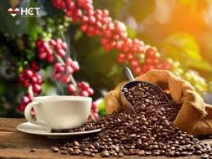 Ng&agrave;nh c&agrave; ph&ecirc;: Th&aacute;ch thức từ EUDR v&agrave; định hướng ph&aacute;t triển bền vững