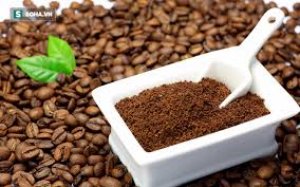Dự b&aacute;o gi&aacute; c&agrave; ph&ecirc; tuần từ 10-15/7