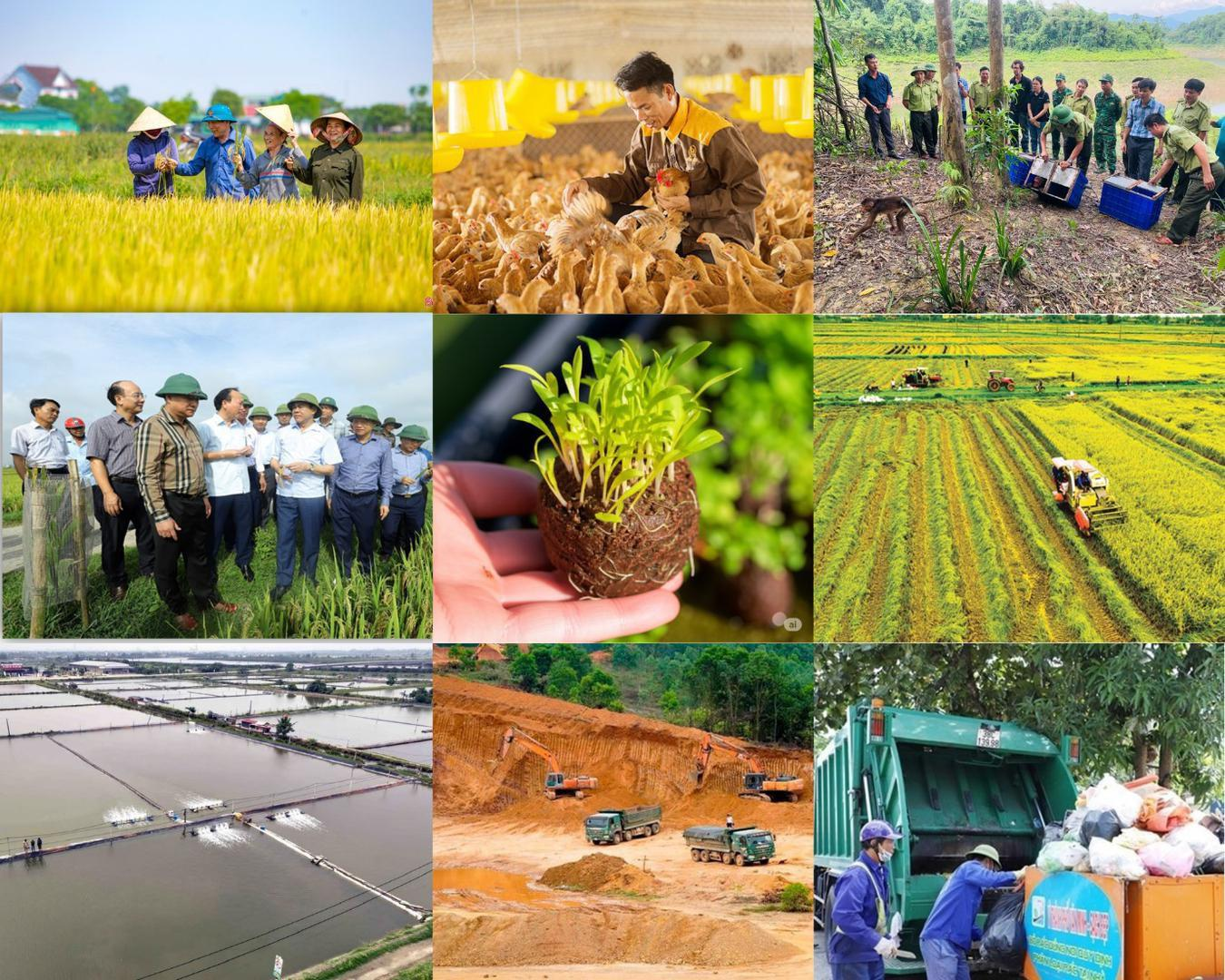 Cải c&aacute;ch thủ tục n&ocirc;ng nghiệp v&agrave; m&ocirc;i trường, khơi th&ocirc;ng nguồn lực ph&aacute;t triển