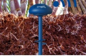 Cảm biến đất gi&aacute; rẻ gi&uacute;p n&ocirc;ng d&acirc;n tiết giảm ph&acirc;n b&oacute;n 
