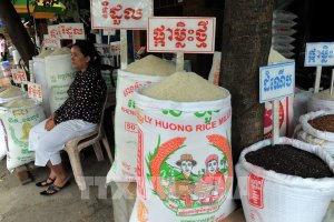 Chỉ số gi&aacute; lương thực thế giới tăng lần đầu ti&ecirc;n trong năm 2020