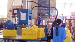 Ng&agrave;nh cao su 2017: Xuất khẩu nhiều, nhập khẩu cũng cao