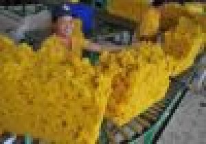 Bản tin thị trường cao su đến ng&agrave;y 10/12/2020