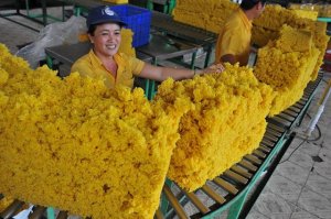 Xuất khẩu cao su sang Trung Quốc chiếm 65% tổng kim ngạch 