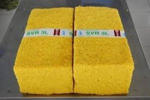 Xuất khẩu cao su 7 th&aacute;ng đầu năm tăng về lượng nhưng giảm về kim ngạch