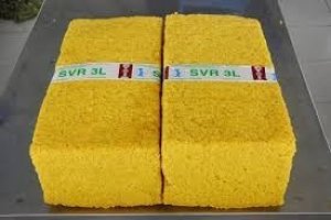 Gi&aacute; cao su thế giới tr&ecirc;n đ&agrave; phục hồi