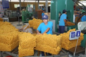 Thị trường xuất khẩu cao su 9 th&aacute;ng đầu năm 2020 