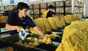Xuất khẩu cao su 4 th&aacute;ng đầu năm 2020 giảm mạnh