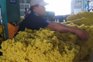 VRG: Năm 2017 vẫn l&agrave; năm kh&oacute; khăn của c&acirc;y cao su