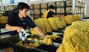 B&aacute;o c&aacute;o thị trường cao su th&aacute;ng 12/2019