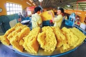 Xuất khẩu tăng vọt nhưng Việt Nam lại nhập si&ecirc;u 100 triệu USD cao su trong nửa đầu năm 