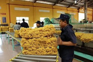 Xuất khẩu cao su dự b&aacute;o sẽ đạt 3,5 tỷ USD trong năm 2022