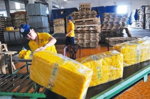 Gi&aacute; cao su giữa th&aacute;ng 6 tiếp tục giảm v&igrave; t&aacute;c động của dịch COVID-19