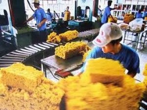 Nhập khẩu cao su từ Campuchia 6 th&aacute;ng năm 2021 tăng tr&ecirc;n 500%
