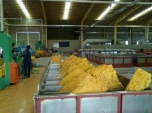 Xuất khẩu cao su qu&yacute; 1/2021 tăng 103% kim ngạch