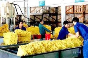 Bản tin thị trường cao su th&aacute;ng 2/2018