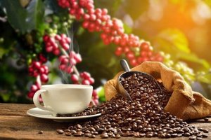 Xuất khẩu c&agrave; ph&ecirc; 6 th&aacute;ng đầu năm 2019 giảm mạnh