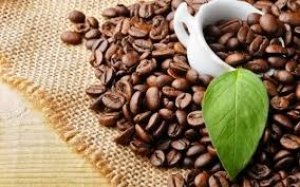 Xuất khẩu c&agrave; ph&ecirc; giảm về lượng nhưng tăng mạnh về kim ngạch