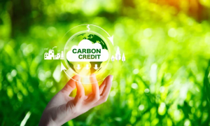 Ho&agrave;n thiện thể chế để vận h&agrave;nh, ph&aacute;t triển thị trường carbon