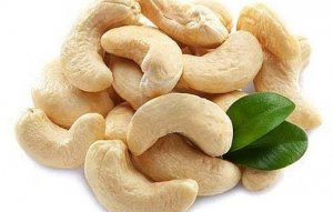Gi&aacute; cao kỷ lục lịch sử nhưng triển vọng thị trường hạt điều vẫn tươi s&aacute;ng 
