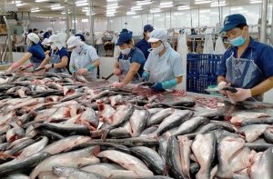 Doanh nghiệp chế biến n&ocirc;ng sản giữ vững thị phần xuất khẩu