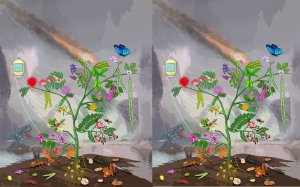 Ph&aacute;t hiện manh mối về sự tiến h&oacute;a v&agrave; đa dạng h&oacute;a của c&acirc;y họ đậu