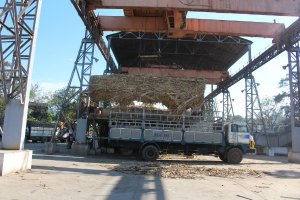 Gi&aacute; m&iacute;a nguy&ecirc;n liệu sẽ ổn định trong vụ mới