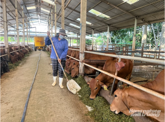Chăn nu&ocirc;i tuần ho&agrave;n - Hướng đi tất yếu
