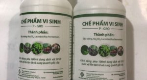 Đ&aacute;nh gi&aacute; thực trạng sản xuất, ứng dụng c&aacute;c chế phẩm vi sinh v&agrave; đề xuất định hướng ph&aacute;t triển c&ocirc;ng nghệ vi sinh trong n&ocirc;ng nghiệp tại Việt Nam